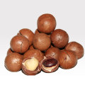 Productos agrícolas al por mayor nueces de macadamia de alta calidad